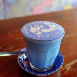 ชาอัญชันลาเต้ร้อน