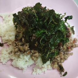 กระเพราไข่เหยี่ยวม้า