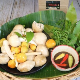 แกงเห็ดระโงก