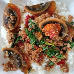 กะเพราหมูสับใส่ไข่เยี่ยวม้าราดข้าว