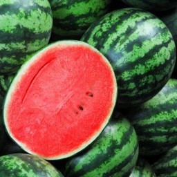 เเตงโม (ไซส์พอดี) ครึ่งลูก