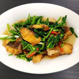 ปลาช่อนผัดขึ้นฉ่าย