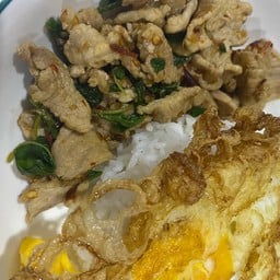 แมวกินกะเพรา(พริกแห้ง)