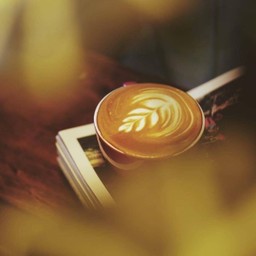 Hot Latte