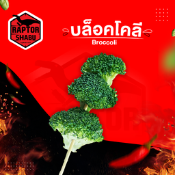 บล็อคโคลี่ l Broccoli