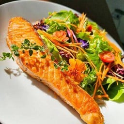 สลัดแซลมอน