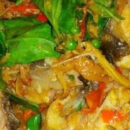 ข้าวราดผัดฉ่าปลาดุกทะเล+ไข่ดาว