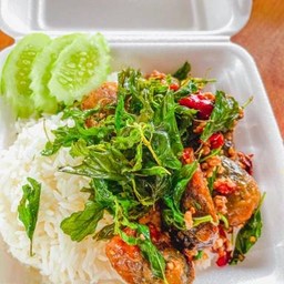 ข้าวกะเพราหมูสับไข่เยี่ยวม้า