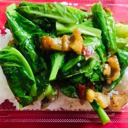 ข้าวราดผัดแขนงหมูกรอบ