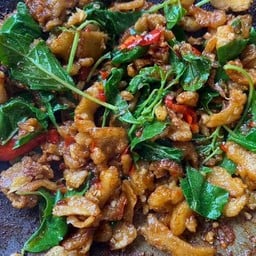 ผัดกระเพรา -กากหมู-ราดข้าว