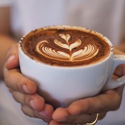 Mocha Hot