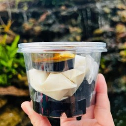 เฉาก๊วยนมสดถ้วยแยกน้ำแบบไม่น้ำแข็ง