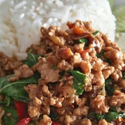 ข้าวกระเพรา หมูสับ ธรรมดา