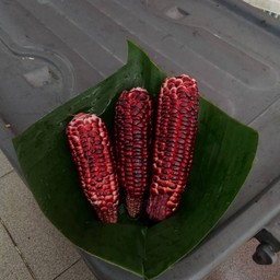 ข้าวโพดข้าวเหนียวต้มซอยวัดลานบุญ ข้าวโพดข้าวเหนียวต้มซอยวัดลานบุญ