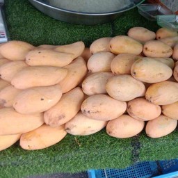 ร้านข้าวเหนียวมะม่วงแม่เล็กพระโขนงและข้าวกล่อง