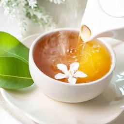 ชาเขียวมะลิ ร้อน