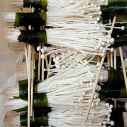 สาหร่ายพันเห็ดเข็มทอง