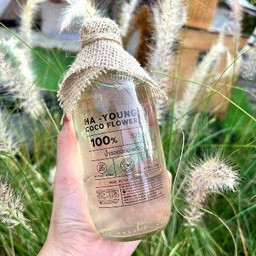 น้ำช่อดอกมะพร้าว