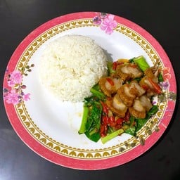 ข้าวคะน้าหมูกรอบ