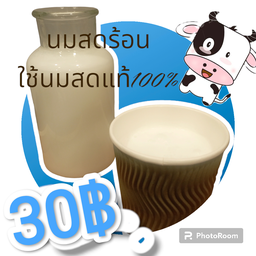 นมสดร้อน