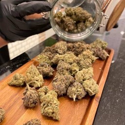 Apple Cannabiz ภูเก็ต