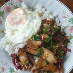 ครัวคุณไพร-ประโดกโคกไผ่