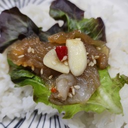 กะพรุนดองเกาหลี