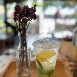 Mojito Mint Soda