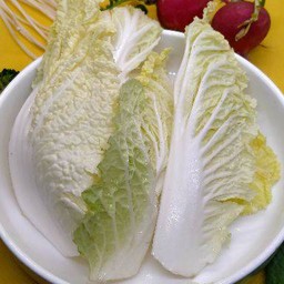 ผักกาดขาว