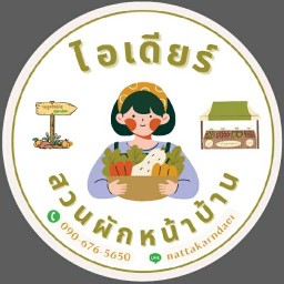 ไอเดียร์ สวนผักหน้าบ้าน บางปู