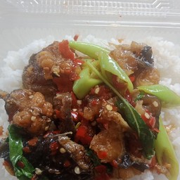 กระเพราปลาดุกทอดกรอบ+