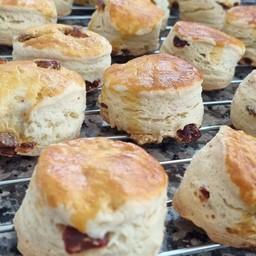 สโคน(SCONE)