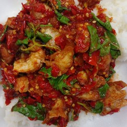 กระเพราโจรหมูกรอบนรกเดือด ราดข้าว