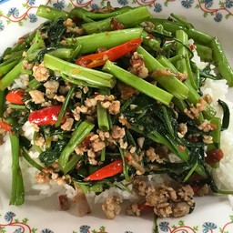 ผักบุ้ง