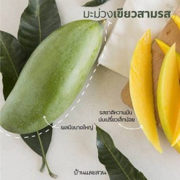 มะม่วงเขียว 3 รส