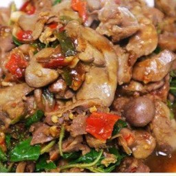 กระเพราเครื่องในไก่ ราดข้าว