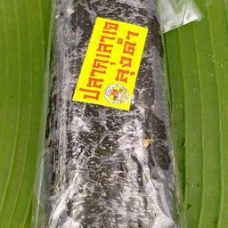 ปลากุเลาเจ (ลุงดำ)