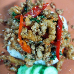 ข้าวราดกะเพราหมูกรอบ
