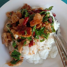 กะเพราหมูชิ้นราดข้าว