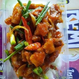 ผัดพริกเผาไก่(ฟีรไข่ดาว)