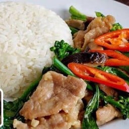 ข้าวราดผัดคะน้าหมู