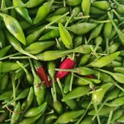 ผักสดเจ๊แพรว