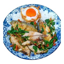 ข้าวกระเพราปลาทู+ไข่ดาว
