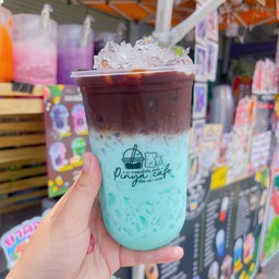 โกโก้มิ้นท์