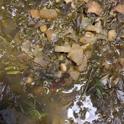 กับข้าวอีสาน สาขาตลาดเตีย