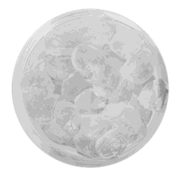 ไข่มุกใสเดียร์ริโอก้า 