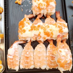 กุ้งผีเสื้อ