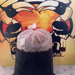 โอเลี้ยง