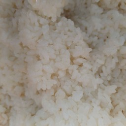 ข้าวญี่ปุ่นซูชิ