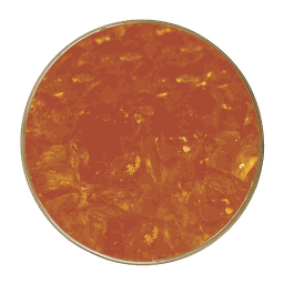 ฮันนี่เยลลี่